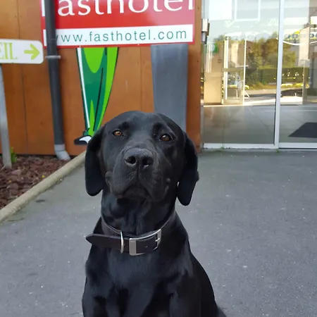 Hotel Fasthotel Dunkerque Grande-Synthe