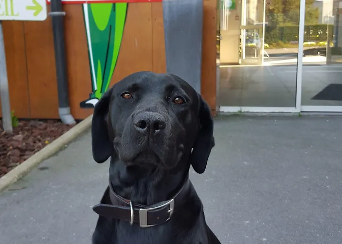 Hotel Fasthotel Dunkerque Grande-Synthe